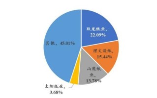深度解析，聚名网的优劣势与现实应用