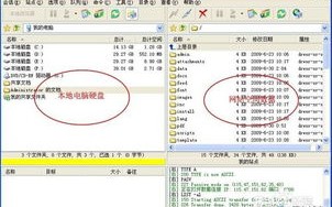全面解析，网站建设、主机与域名经营所需费用及材料程序