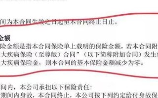 评测中国福网，以大数据剖析其优劣势及未来发展