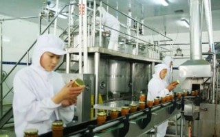 请问E动的虚拟主机怎么样？深度解析与评测