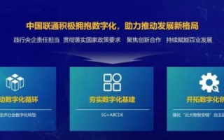 数字化时代的创新决策者（CNIVV）