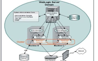 WebLogic10虚拟主机，解锁高效、灵活与安全的云端解决方案