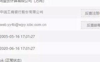 数字加字母域名作为公司项目域名，优势、挑战与选择策略
