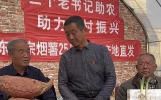 精英网络评测，精准把握互联网脉搏，洞悉未来科技趋势