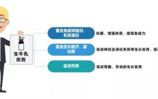 探索独立域名的魅力，为何值得购买及如何挑选