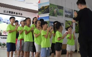 百度云服务器，解锁高效、安全、可扩展的云上之旅