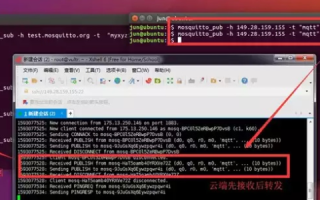 阿里云国外服务器可以通过IP访问吗？