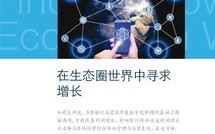 微尚网络，重塑数字世界的创新与卓越之路