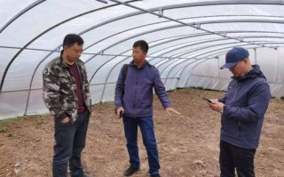 亿中网络科技，稳定前行的数字领航者
