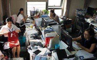 探索动态数据合租网，万千租客的选择与体验分享