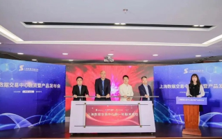 上海中南网络，打造数字化时代的企业新引擎