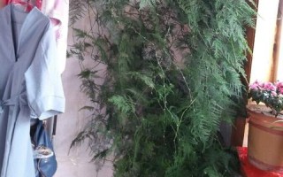 富米网官网，掌握未来金融的关键，开启财富增长之旅！