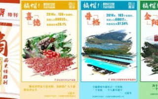 域名与商标，法律边界与实际应用
