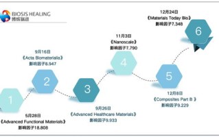 博洋网络稳定性探究，技术实力、用户体验与市场口碑的全方位分析