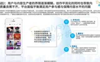 华明网络，用户体验、优势与挑战并存的数字平台