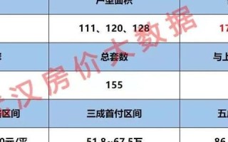 澜优科技，颠覆传统，引领未来的数字转型先锋
