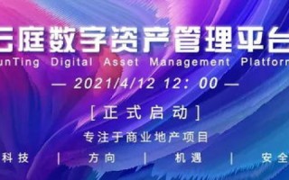 网馨云，揭开数字时代的新篇章