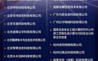 主域名后面出现一大串字符，原因解析与影响探讨