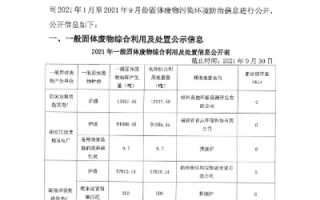 中资源评测，厦门环保评测分析与展望