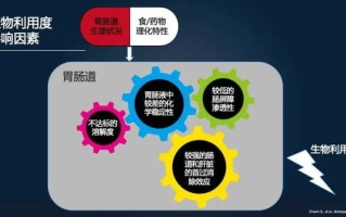 骐网云，稳定性的多维度解析与保障措施探讨
