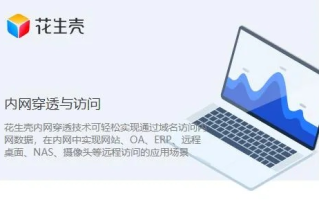 如何注册网站域名，以花生壳为例的详细指南