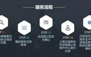 如何高效抢注心仪域名，策略与技巧全解析