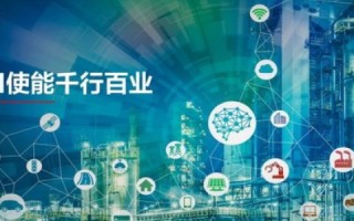 探索彩虹网络，数字时代下的新机遇与挑战