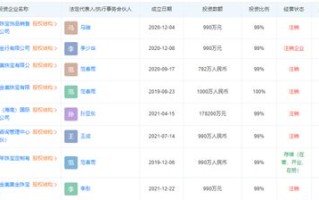网站域名要到期了，一场关于工作交接与管理的数字迷局