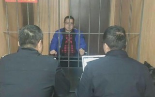 蒲公英网络，探索其应用体验与背后的故事