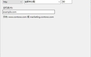 关于IIS与域名更改的全面指南