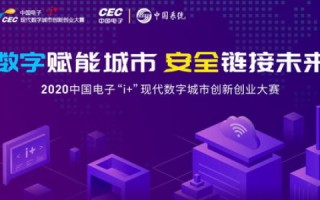 深入评测湖南拓枫数据，技术实力、服务与未来的数字创新先锋