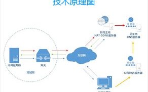 DDNSIP，每步动态域名解析软件详解