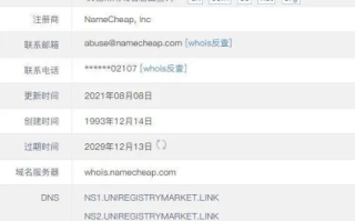 新网域名解析，高效、稳定与安全的网络基石