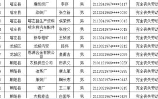 上海豪网官网，探索城市之巅的互联网力量