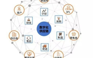 欧迪斯网络，构建数字时代的信任桥梁
