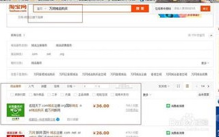 我想买个域名空间，然后在自己的网站上挂广告赚钱—谁有好的建议？