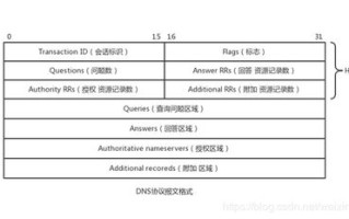 TCP协议与域名解析，从DNS到数据传输的奥秘