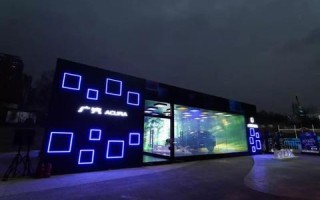 探索自由网络科技的稳定性，机遇、挑战与未来展望