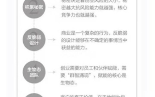 精准击中痛点，空手创业者的评测攻略