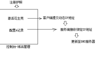 花生壳动态域名设置详解