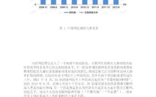 中国网络使用情况回顾与展望