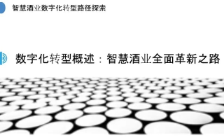 数据驱动的智慧，揭秘酒都的数字化变革之路