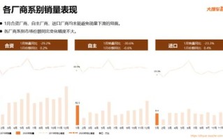 域名与品牌，探索搜玉米的易记性与市场潜力
