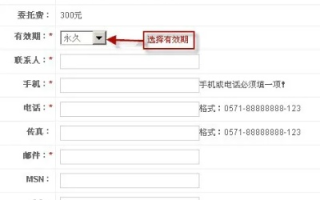 什么是域名？如何购买和使用？
