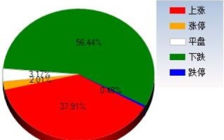 微尚网络使用体验，全面解析其优势与局限性