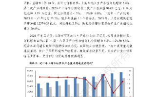 上海数据资源利用现状，挖掘和利用的机遇与挑战