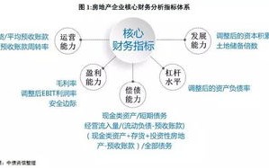 九五互联稳定性分析，技术优化与用户信心建设的双重驱动