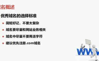 WS后缀域名，探索其含义与独特之处