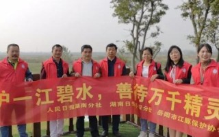 星河云—探索未来数字世界的无限可能