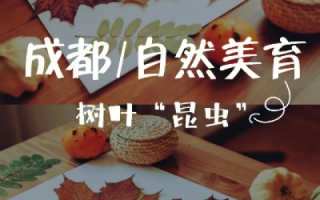 探索树叶云，自然美学的数字化创新实践